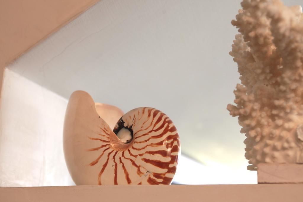 Nautilus Riccione Exterior foto